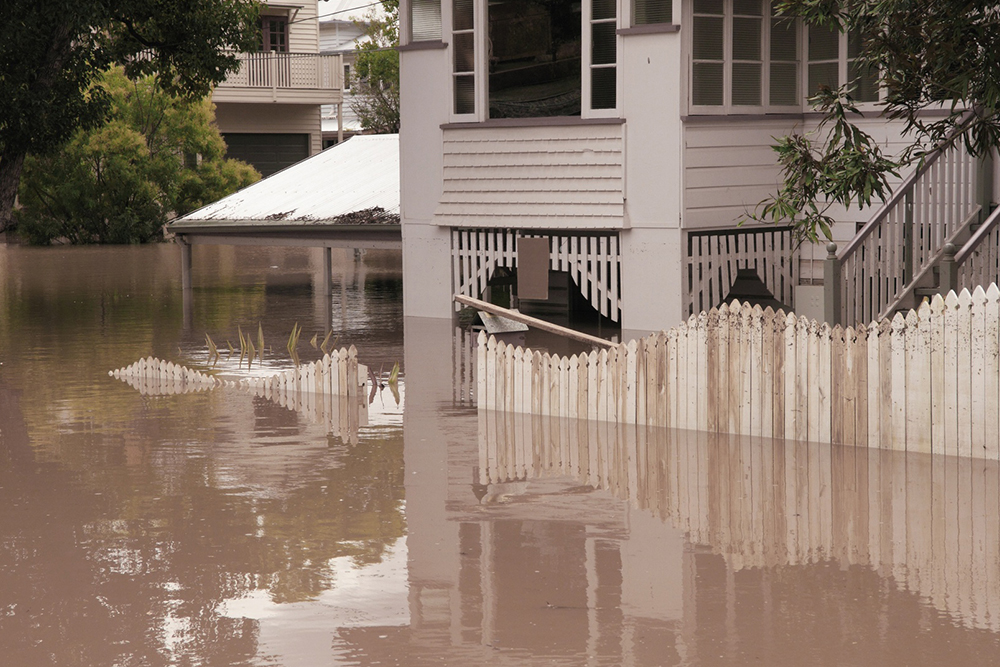 Water Damage Service: What to Look for in Yours
